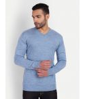 PERF Regular Fit V Neck Sweater For Men